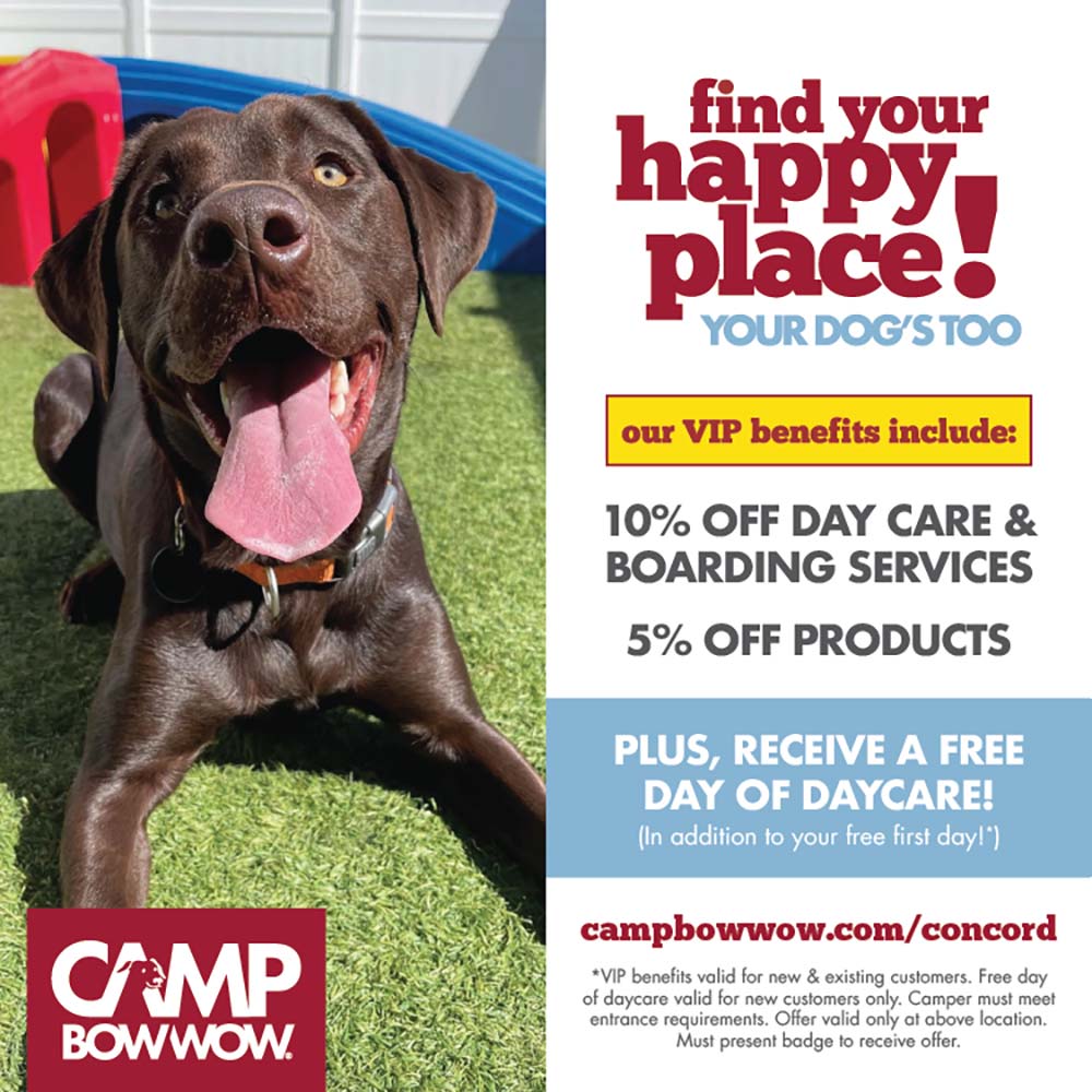 Camp Bow Wow